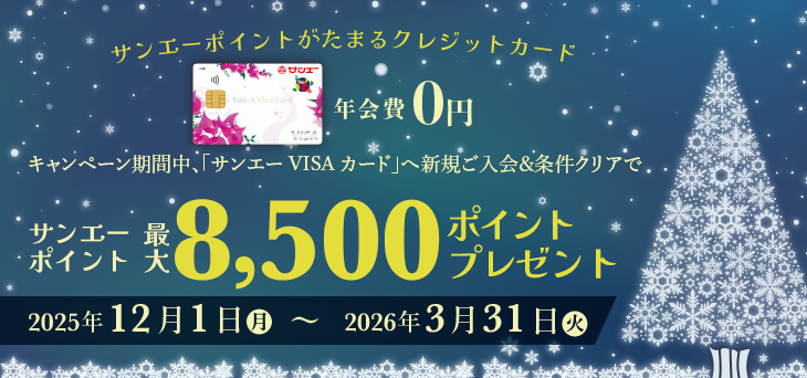 サンエーVISAカード新規ご入会＆条件クリアで最大8,500ポイントプレゼント