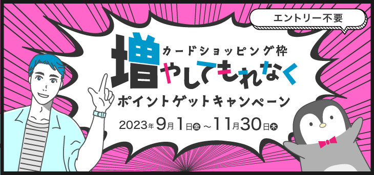 【エントリー不要】ショッピング枠増やして、もれなくポイントゲットキャンペーン